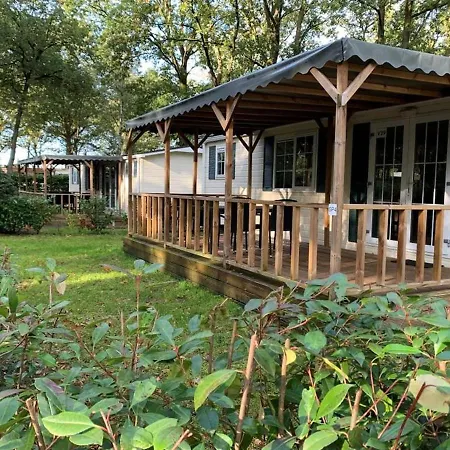 Chalet Spring Voor 6 Personen I De Heimolen *