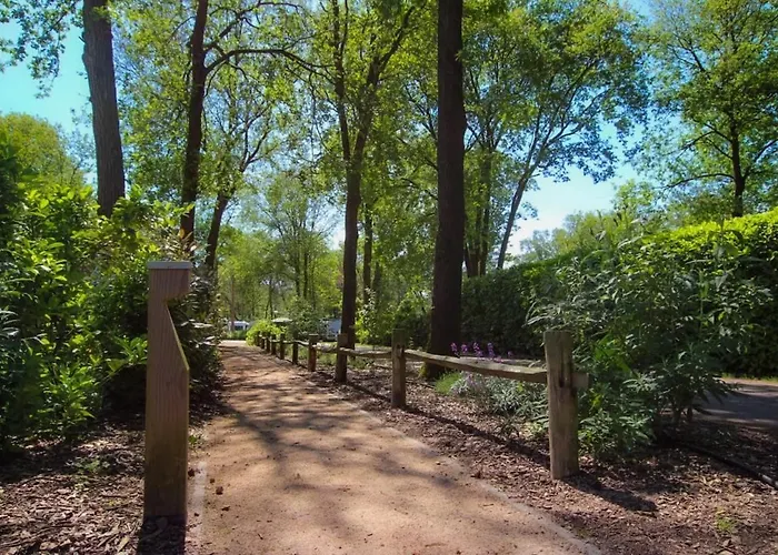 Spring Voor 6 Personen I De Heimolen